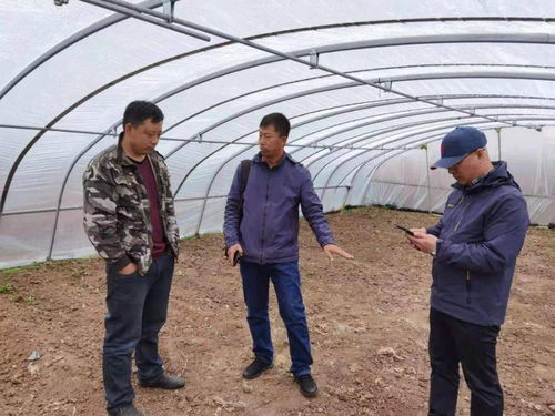 百期網(wǎng)課開(kāi)新局，科技助農(nóng)譜新篇——市農(nóng)業(yè)科學(xué)院“學(xué)史力行慶華誕”網(wǎng)絡(luò)課堂圓滿結(jié)課