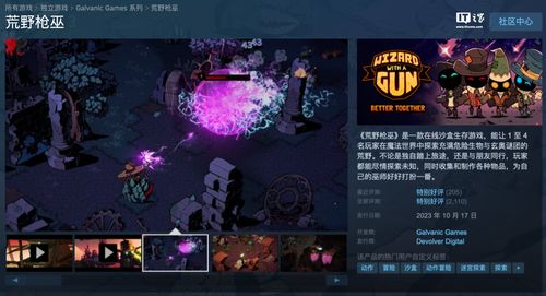 銷量慘淡致團隊解散 《荒野槍巫》開發商Galvanic Games宣布關閉