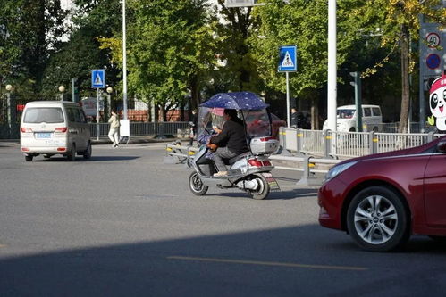 寶興縣規(guī)范電動(dòng)三輪與四輪車管理 上路需持證上牌，強(qiáng)化生產(chǎn)源頭治理